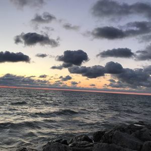 Meet your Posher, Rohan